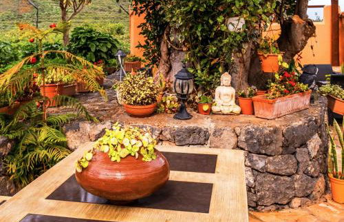 Live Buenavista El Palmar - Foto 39