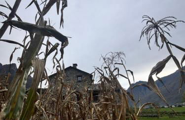 Chalet Valchiavenna - Foto 22