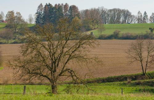 Ferienhaus in Amelgatzen mit Terrasse - Foto 60
