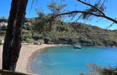 Il PolpoLeo in Porto Azzurro Isola d'Elba - Foto 21