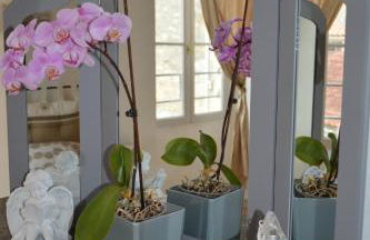 Arc en ciel - Foto 10