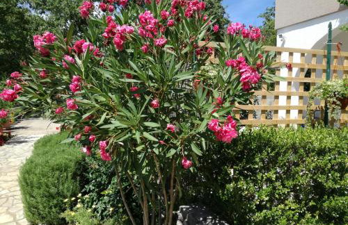 Apartments Barbara - Photo 39