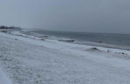 Giese FeWo Küstenglück - Foto 29