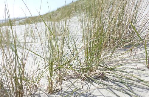 Haus Uthlande HAus Uthlande Whg 46 Watten Blick - Foto 5