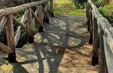 Case Vacanze Macchione - Foto 25