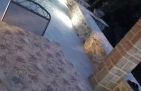 Robinson My dream - Foto 8