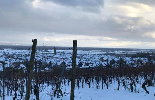 Le Logis du Vignoble - Foto 14