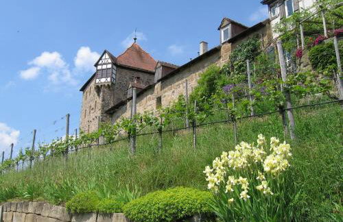 Gästeapartments Haus Kohler - Foto 63