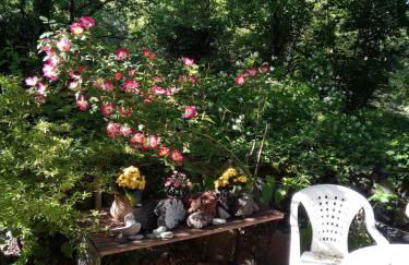 Cirasellaetna - Foto 88