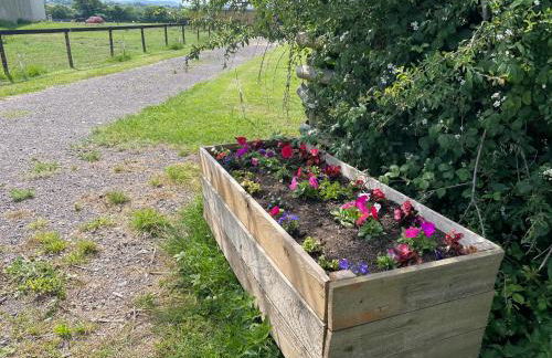 Mallard s Retreat - Photo 19