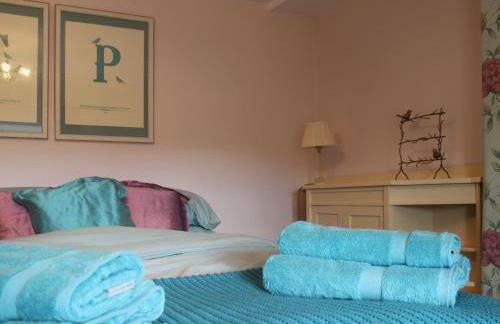 Tyn Y Coed Farm House - Foto 22