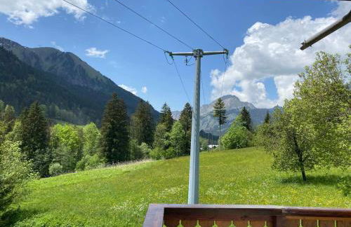 Chalet confortable 5 chambres à Châtel avec WIFI - FR-1-693-1 - Foto 16