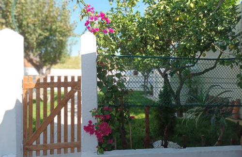 Casa do Sossego - Foto 43