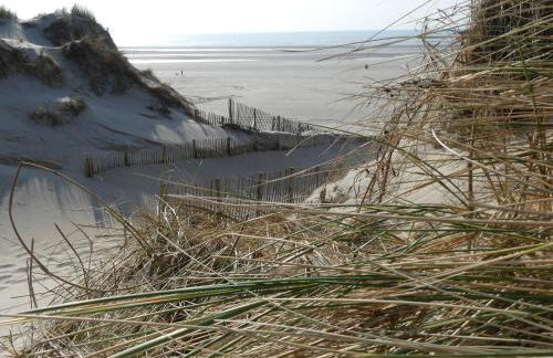 Au gré du vent - Foto 19