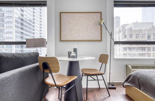 Streeterville Studio w Gym Pool nr Navy Pier CHI-450 - Photo 6