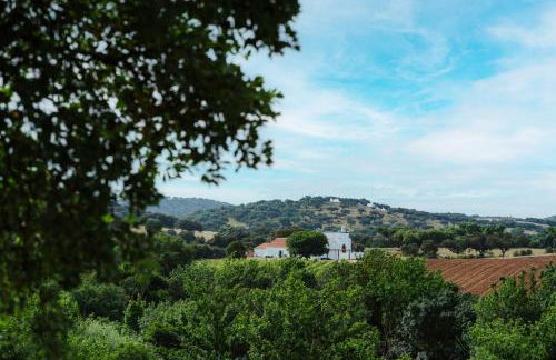 Alojamentos Plansel - No Coração das Vinhas do Alentejo - Foto 10
