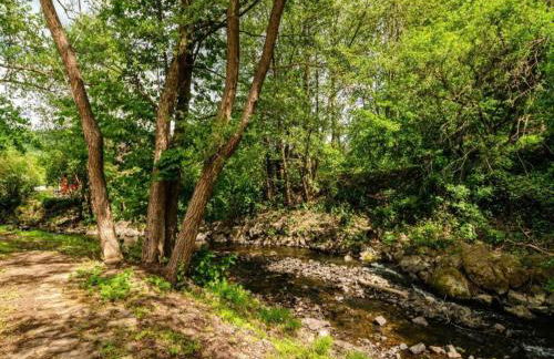 Welcoming Bungalows in Neustadt - Foto 28