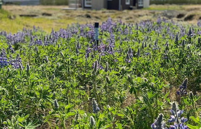 Blue View Cabin 5B with Hot Tub - Foto 13