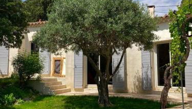 Villa de charme avec piscine 5 min d'Avignon - Photo 3