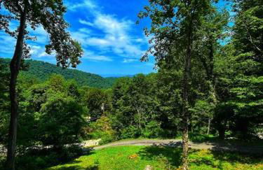 Smokey Mountain Retreat - Foto 23