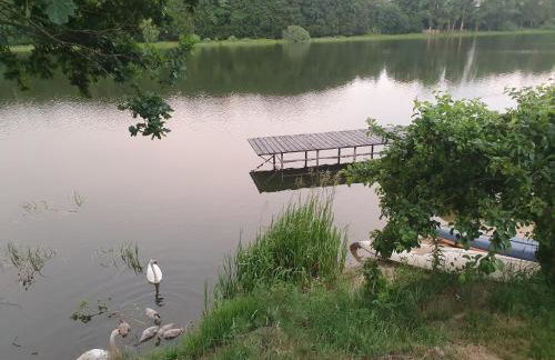 Widokowe tarasy - Photo 26