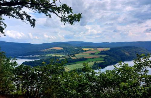 Sehr schöne ufernahe ebenerdige Ferienwohnung Pura Vida auf der Halbinsel Scheid - Foto 25