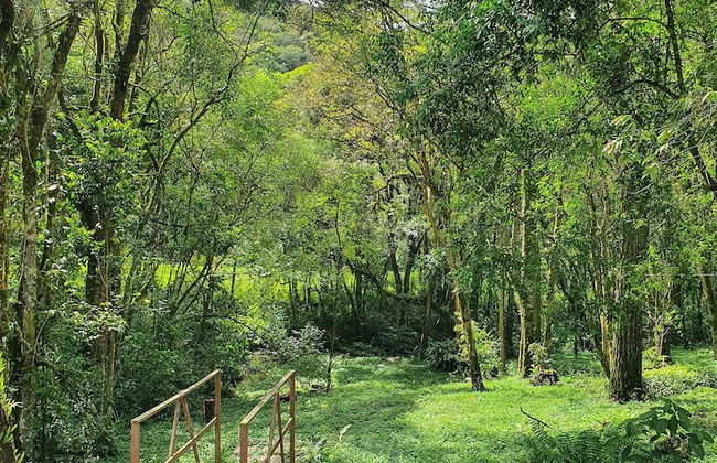 Villagio Matera - São Luiz do Purunã - Photo 59