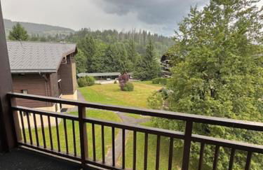 Le chalet des pistes - Foto 8