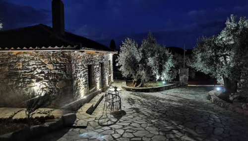 Elaion Thea2-Nies - Foto 3