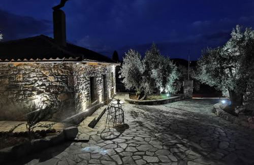 Elaion Thea2-Nies - Foto 3