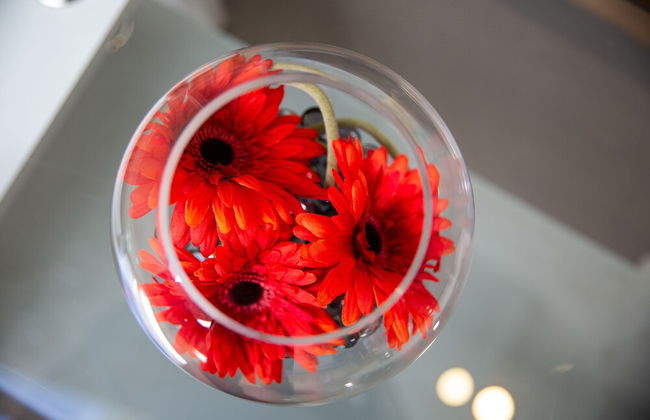 Velvet 2-bedroom Apartment Clock House - Hoddesdon - Foto 37