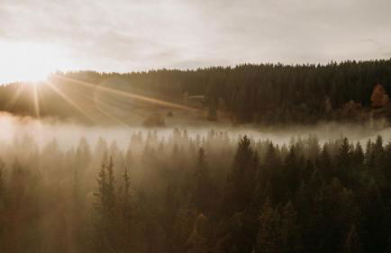 Black Forest Dream Apartments - Foto 51