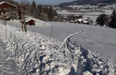 Haus Vogl Anger - Ferienwohnungen mit privater Sauna und beheizten Salzwasser Pool in Panoramalage und Nähe zu Salzburg und Berchtesgaden - Foto 74