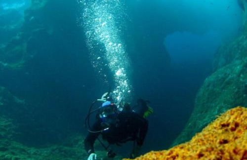 Apartamento Any - Foto 19