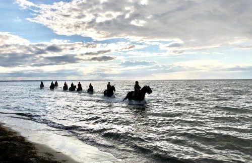 Haus zwischen Mühle und Meer - Foto 15