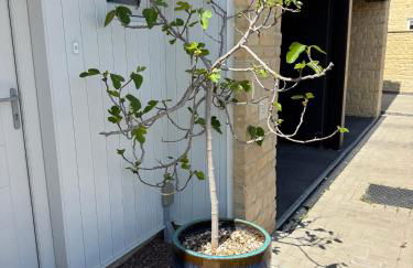 The Coach House - Foto 15