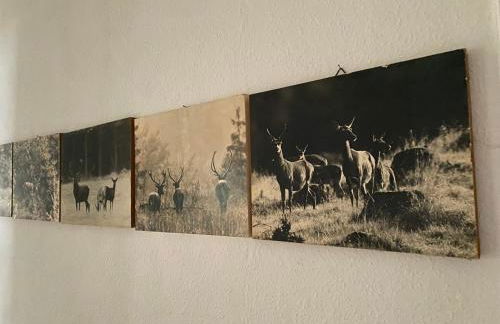 Gemütliche Ferienwohnung in Lerbach - Foto 6