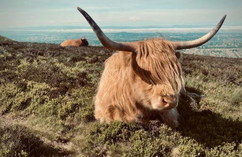 The Snook-Free Parking-Near Pentland Hills - Foto 14