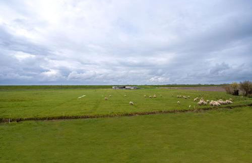Doppelhaushalfte in Karolinenkoog - Foto 46