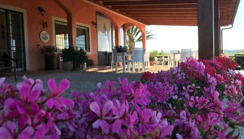 I Cardinali - Foto 3, Garden