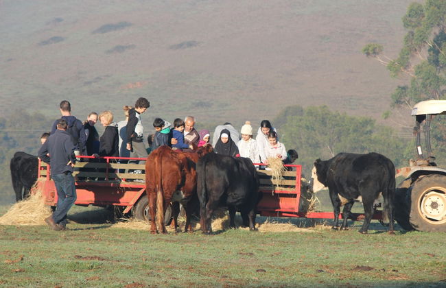 Pump Hill Farm Cottages - Photo 42