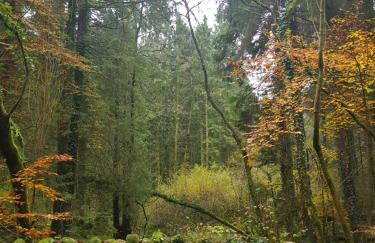 3 Bedroom Cottage - Hot Tub Garden Parking - Foto 22