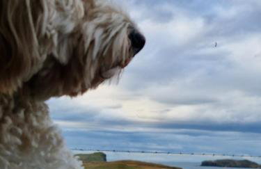 Ornum Self Catering Cottage - Foto 44