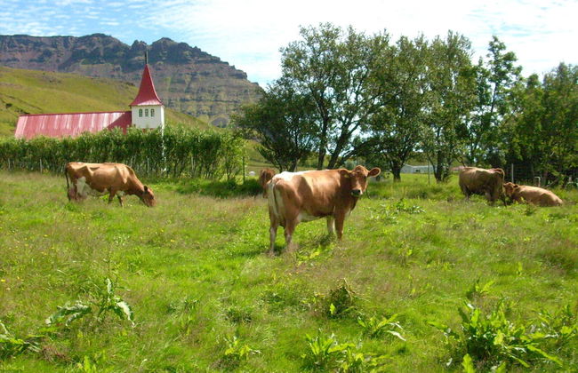 Ásólfsskáli Cottage - Foto 22