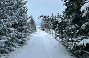 Sowi Sierp Domek w Górach Sowich - Foto 51