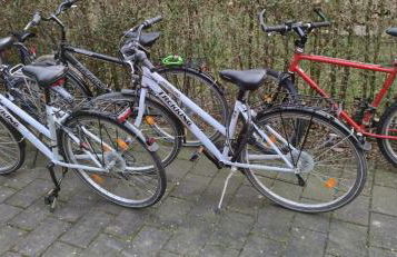 Ferienhaus-Kalkar - Foto 32