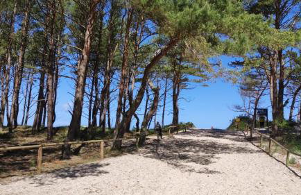 Boho House - Foto 36