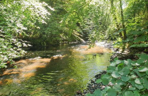 The Old Mill Cottage - Foto 49