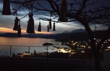 Thetis Apartment - Photo 10