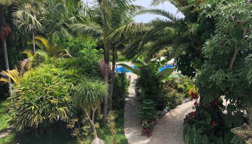 Tijarafe 1 - Foto 5, Garden